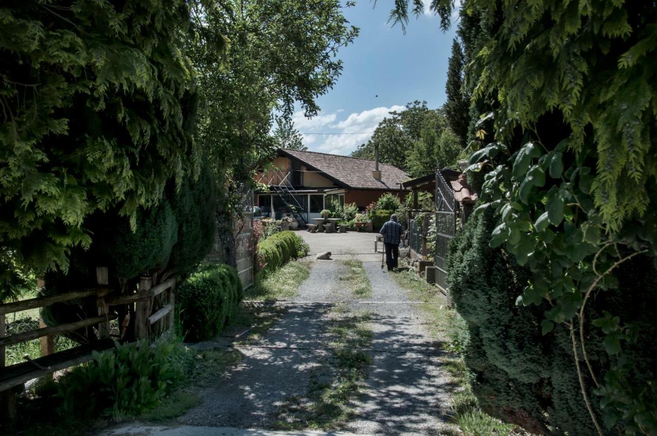 La Locanda Degli Elfi Виджанелло Экстерьер фото